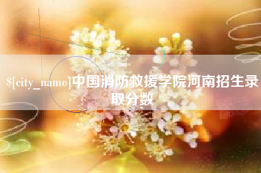 天门中国消防救援学院河南招生录取分数