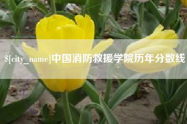 天门中国消防救援学院历年分数线
