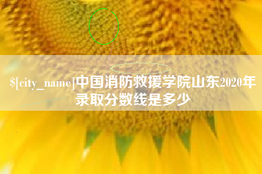 天门中国消防救援学院山东2020年录取分数线是多少