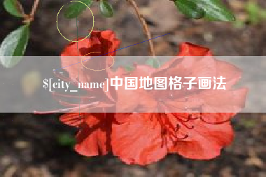 天门中国地图格子画法