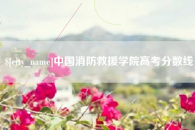 天门中国消防救援学院高考分数线