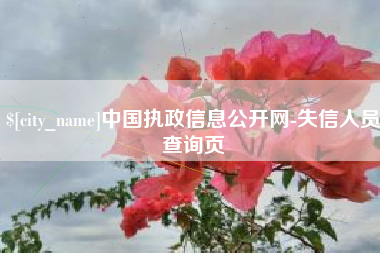 天门中国执政信息公开网-失信人员查询页