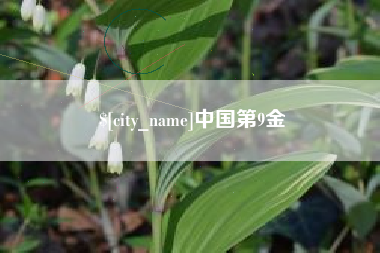 天门中国第9金