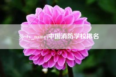 天门中国消防学校排名