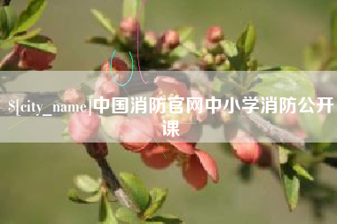 天门中国消防官网中小学消防公开课