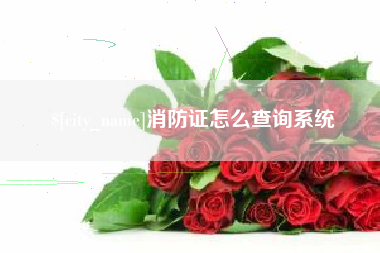 天门消防证怎么查询系统