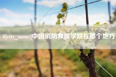 天门中国消防救援学院在那个地方