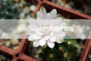 天门2021消防分数线
