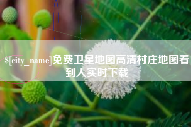 天门免费卫星地图高清村庄地图看到人实时下载