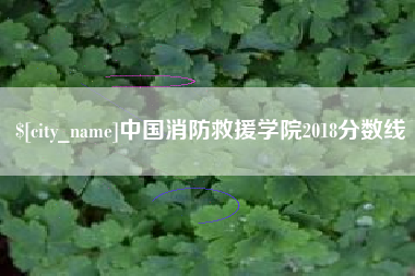 天门中国消防救援学院2018分数线