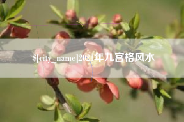 天门2021年九宫格风水
