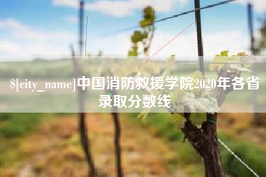 天门中国消防救援学院2020年各省录取分数线