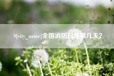 天门全国消防日是第几天？