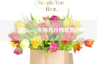 天门中国执行网信息官网