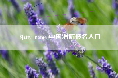 天门中国消防报名入口