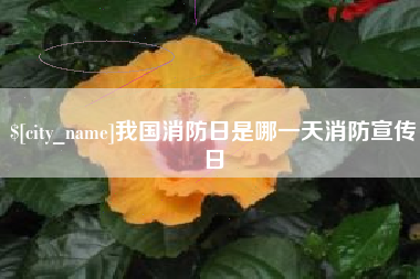 天门我国消防日是哪一天消防宣传日
