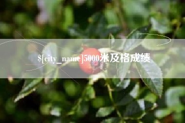 天门5000米及格成绩