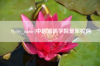 天门中国消防学院是军校吗