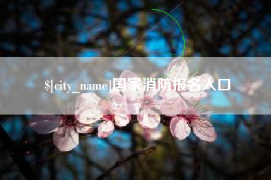天门国家消防报名入口
