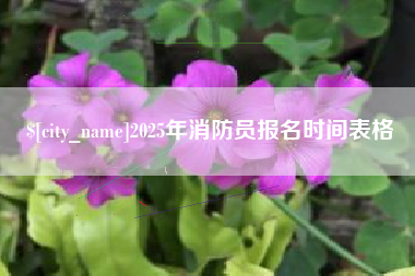 天门2025年消防员报名时间表格