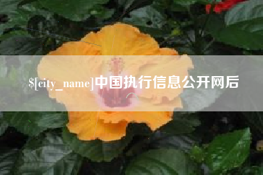 天门中国执行信息公开网后