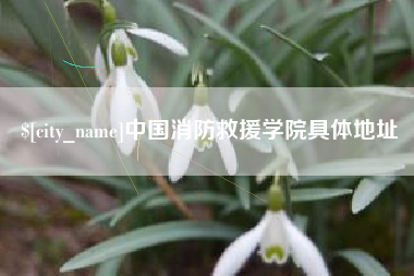 天门中国消防救援学院具体地址