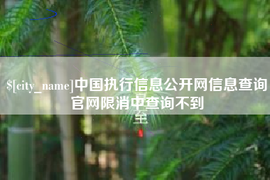 天门中国执行信息公开网信息查询官网限消中查询不到