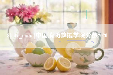 天门中国消防救援学院分数2020