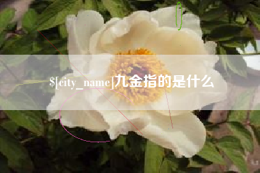 天门九金指的是什么