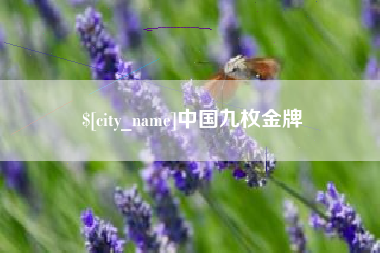 天门中国九枚金牌