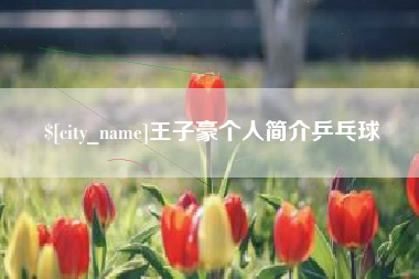 天门王子豪个人简介乒乓球