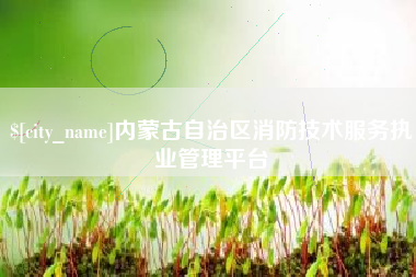 天门内蒙古自治区消防技术服务执业管理平台