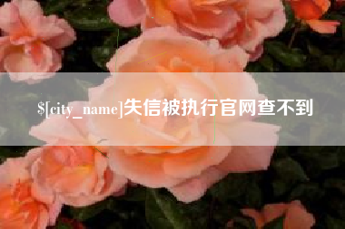 天门失信被执行官网查不到