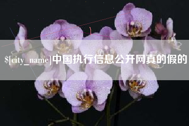 天门中国执行信息公开网真的假的