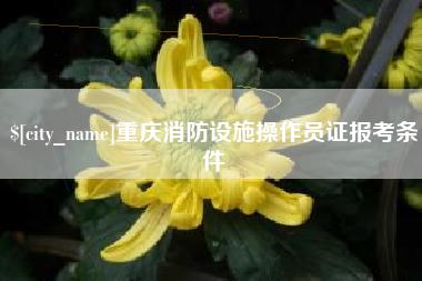 天门重庆消防设施操作员证报考条件