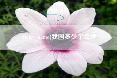 天门我国多少个金牌