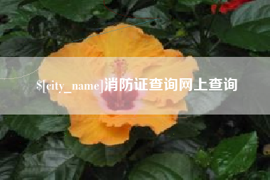 天门消防证查询网上查询