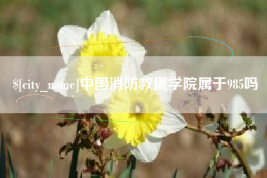 天门中国消防救援学院属于985吗