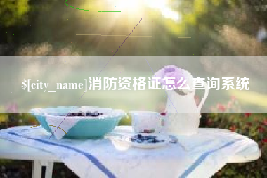 天门消防资格证怎么查询系统