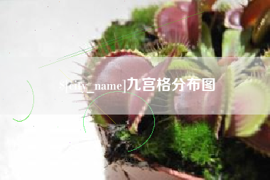 天门九宫格分布图