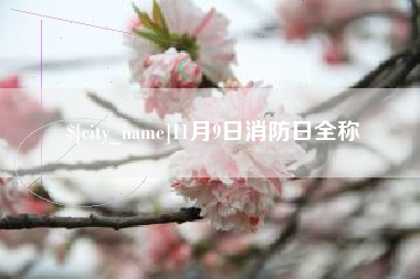 天门11月9日消防日全称