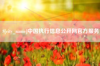 天门中国执行信息公开网官方服务