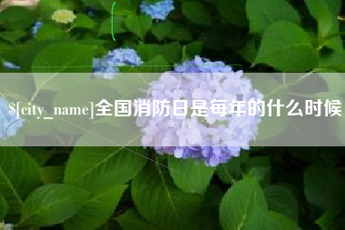 天门全国消防日是每年的什么时候