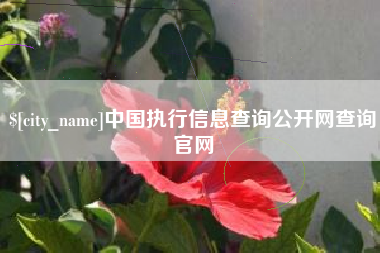 天门中国执行信息查询公开网查询官网