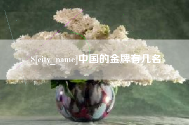天门中国的金牌有几名
