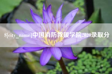 天门中国消防救援学院2020录取分