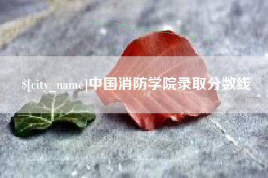 天门中国消防学院录取分数线