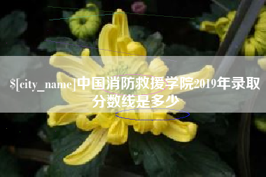天门中国消防救援学院2019年录取分数线是多少
