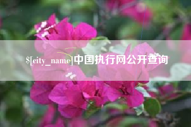 天门中国执行网公开查询