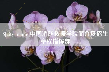 天门中国消防救援学院简介及招生章程指挥部